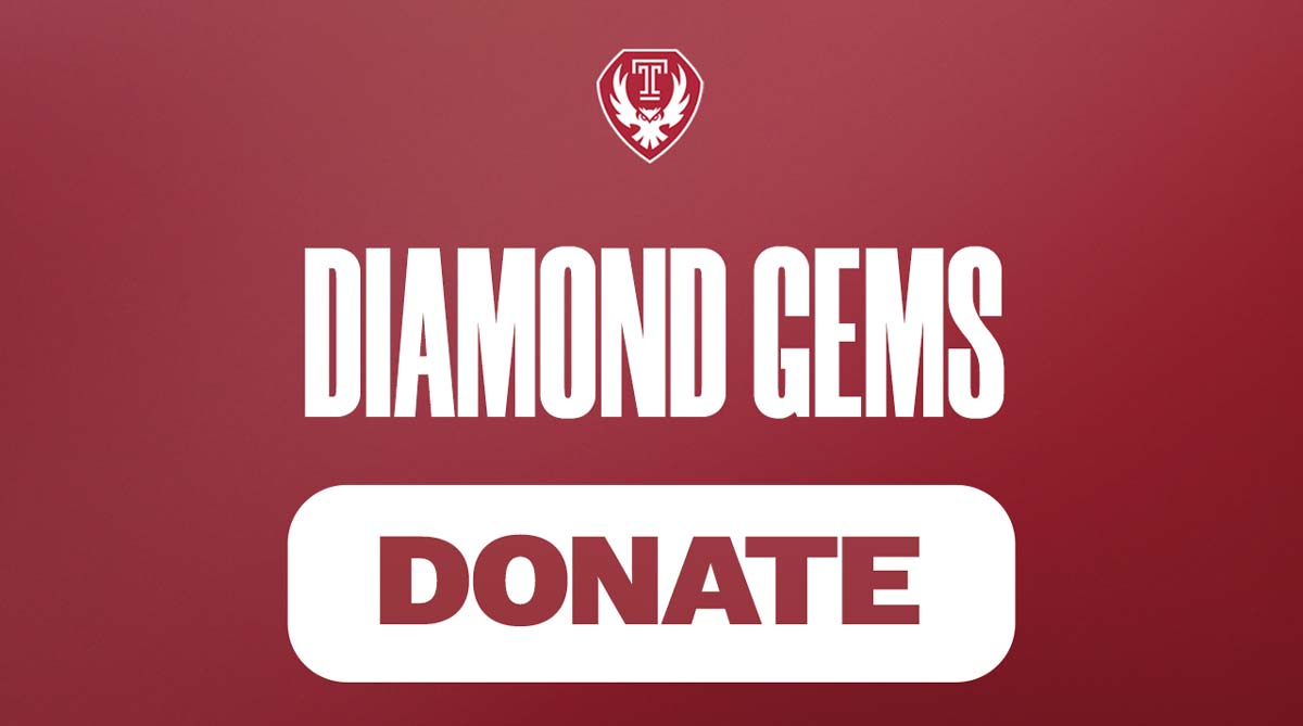 Diamond Gems button