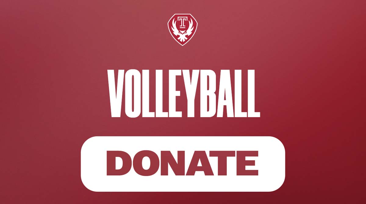  Volleyball button
